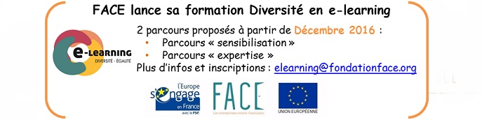 You are currently viewing FACE lance une formation Diversité en e-learning